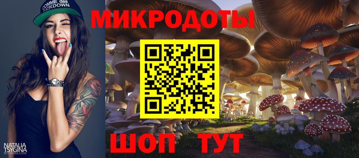 Галлюциногенные грибы мицелий Ессентуки